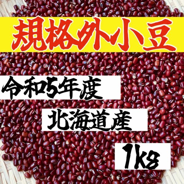 【規格外1kg】令和5年度 北海道産きたろまん 小豆 乾燥豆 豆