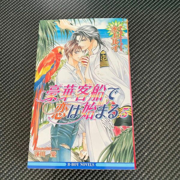 豪華客船で恋は始まる 5/水上ルイ