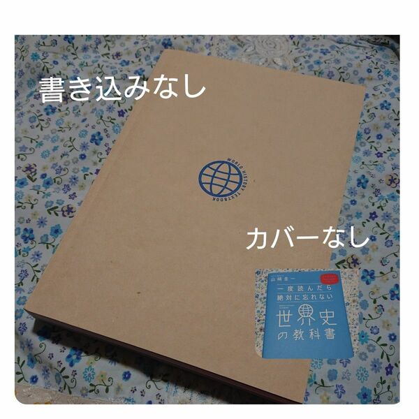 一度読んだら絶対に忘れない世界史の教科書　公立高校教師ＹｏｕＴｕｂｅｒが書いた 山崎圭一