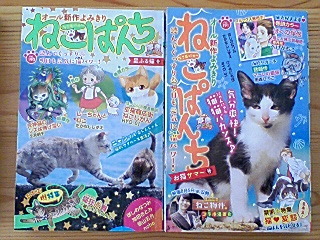 8冊★月刊ねこぱんち　2022年6月～12月（No.190～196)　、夏限定ねこぱんち