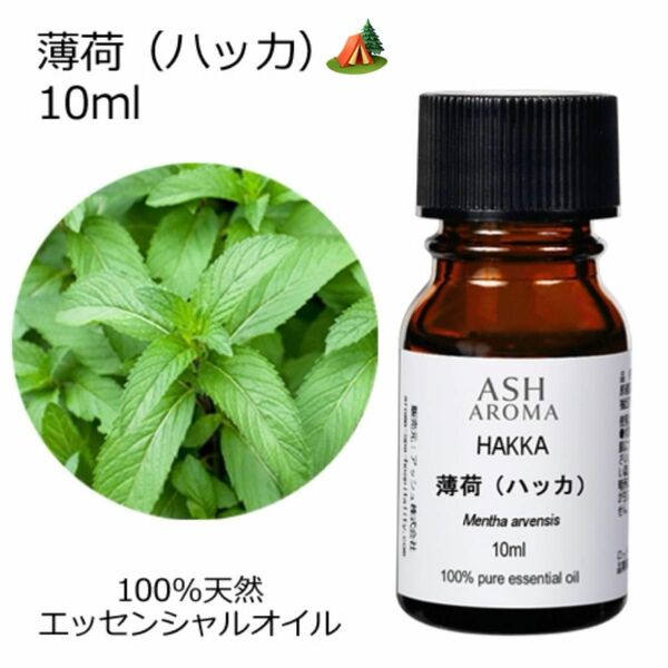 【10ml 】高品質　100%天然　薄荷　和ハッカ　ハッカ油　はっか　アロマオイル　エッセンシャルオイル　リフレッシュ　虫よけ