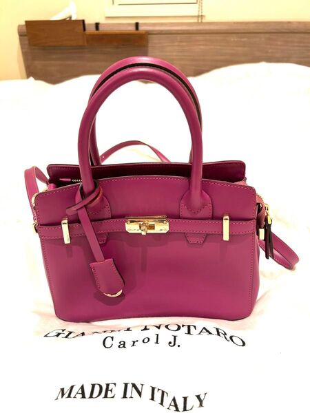 Carol J. ゴールドバックルスモールハンドバッグ ハンドバッグ ショルダーバッグ