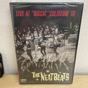 [ новый товар не использовался товар ][1 иен старт ] THE NEATBEATS LIVE AT BIGCAT COLISEUM*18 DVD NEAT Be tsu