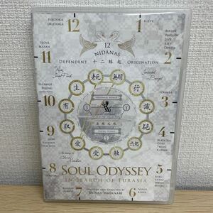 【1円スタート】 SOUL ODYSSEY -ユーラシアを探して- DVD 渡辺真也