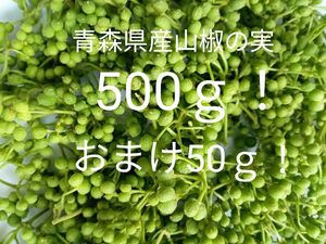 青森県産天然山椒の実500ｇ！