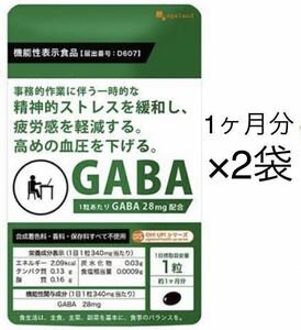 ★送料無料★GABA 約2ヶ月分(1ヶ月分30粒×2袋)オーガランド サプリメント 機能性表示食品 血圧 改善 ストレス 軽減 ギャバ