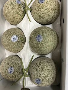  fruit melon a-rus melon 6 sphere limited amount . popularity .. sale 