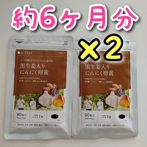 黒生姜入りにんにく卵黄＋山人参 サプリ 約12ヶ月分　DHA　ポリフェノール