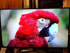 4K　43型　 ワイド液晶ディスプレイ　良品