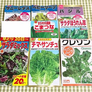 野菜の種 お裾分け 8種類 各15粒＋αしばらく8種類になりますm(_ _)m