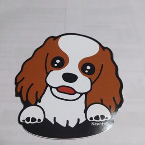 いつも一緒にお散歩ステッカー 犬のステッカー キャバリア