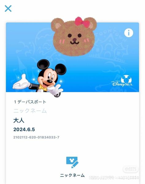 6月5日 ディズニーシー グッズ 購入用 チケット 東京ディズニーシー 入園済 オンラインショッピング