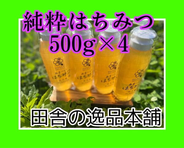 あま〜い♪おかやま産 搾りたて♪はちみつ500g×4 令和7年5月採蜜