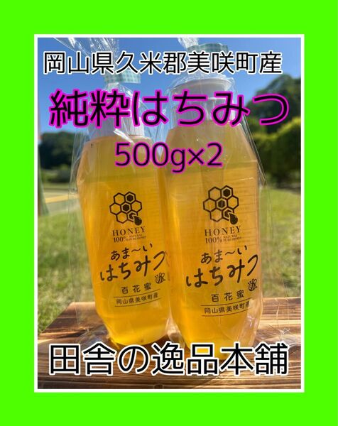あま〜い♪おかやま産 搾りたて♪はちみつ500g×2 令和7年5月採蜜