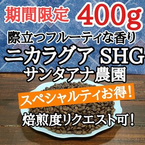 自家焙煎 コーヒー豆 注文後焙煎 ニカラグア SHG 400g #はなまる珈琲