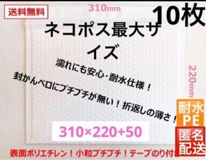 ネコポスサイズ　白　耐水クッション封筒 梱包資材　緩衝材付