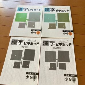 夏休み自宅学習用にいかがでしょうか?早稲田アカデミー教材 ピラミッド テキスト 国語 塾専用 漢字小6