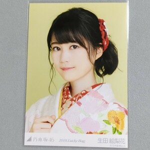 乃木坂46 生田絵梨花 2018 Lucky Bag 生写真 1