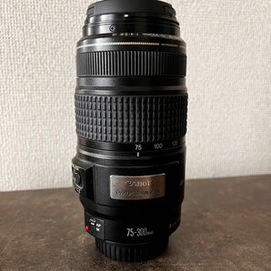 Canon EF 75-300mm IS USM