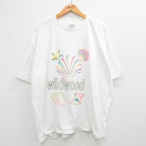 XL/古着 ヘインズ 半袖 ビンテージ Tシャツ メンズ 90s シェル 貝 ワイルドウッド 大きいサイズ クルーネック 白 ホワイト 23aug09 中 2OF