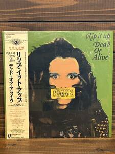  Dead Or Alive / Rip it up (LP) 来日記念盤　シュリンク帯付 デッド・オア・アライブ　リップ・イット・アップ　美盤 