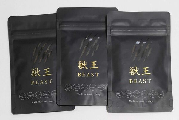 獣王BEAST 3袋