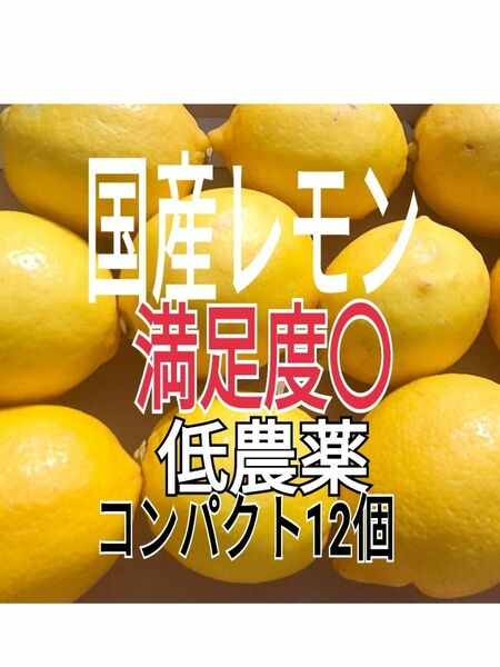国産レモン春収穫【Aクラス訳あり　ノーワックス　丸ごと使えて安心コンパクト12個
