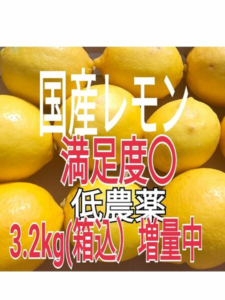 国産レモン春収穫【Aクラス訳あり　ノーワックス　丸ごと使えて安心 痛み保証