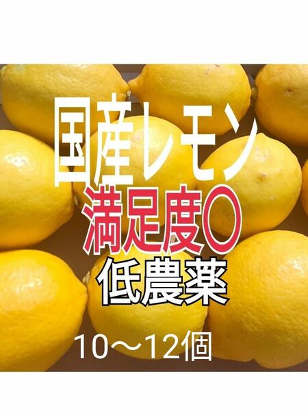 国産レモン春収穫【Aクラス訳あり　ノーワックス　丸ごと使えて安心コンパクト10〜12個 