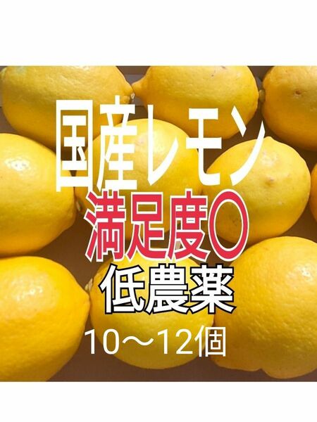 国産レモン春収穫【Aクラス訳あり　ノーワックス　丸ごと使えて安心コンパクト10〜12個