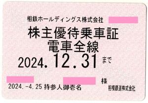 相鉄 定期券タイプ 電車全線 株主優待 乗車証 定期型 相模鉄道