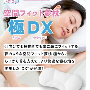 【新品】夢枕 極DX 〈せのぶら本舗〉完売品