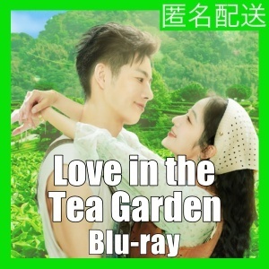 [Love in the Tea Garden( automatic translation )][ sea ][ China drama ][px][Blu-ray][IN]*6|I7. delivery 