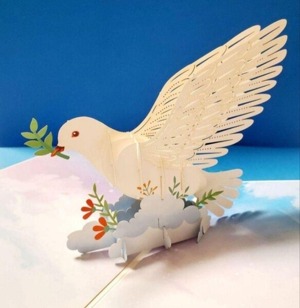 立体カード HANAKO 飛び出すカード ハト 白鳩 鳥の雑貨