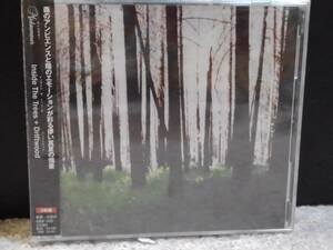 【米】ミッドサマー/Midsummer■CD+CDS:Inside the Trees + Driftwood 