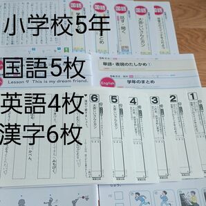小学校 5年 国語5枚 英語4枚 漢字6枚 カラーテスト 未使用 未記入