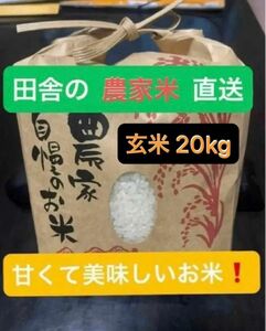 大分県 山間地産　ヒノヒカリ　玄米　20kg 