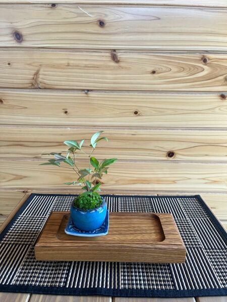欅　木製トレー　欅一枚板　インテリアトレー　飾り台　花台