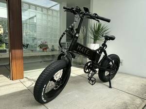 MATE X 250 極上vehicle両　限定解除32キロ設定　アクセルincluded　電動アシスト！　油圧Brake　走行わずか