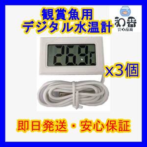 [ popular commodity ] digital water temperature gage white 3 piece medaka goldfish tropical fish shrimp aquarium direction PSBmi Gin ko elephant rim si chlorella bacteria .. filter media . including in a package possible 