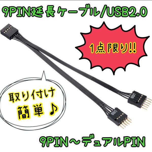 ★1品限り★ 9ピンUSB2.0延長ケーブル 9PINからデュアルPIN 黒