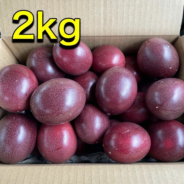 沖縄県産 規格外品 パッションフルーツ2kg 