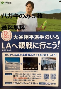 【懸賞応募はがきのみ５枚】伊藤園　おーいお茶 おーいLAの大谷さんキャンペーン 数量：４★送料無料