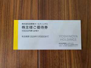 吉野家ホールディングス / 株主優待券 / 6000円分(500円券×12枚) / 2024年11月30日まで 