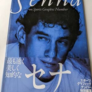 アイルトンセナ 写真集 永久保存版