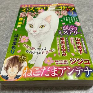 レディースコミック　ミステリーサラ5月号