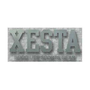 ゼスタ(XESTA) カッティングステッカー(GS) 23cm シルバー