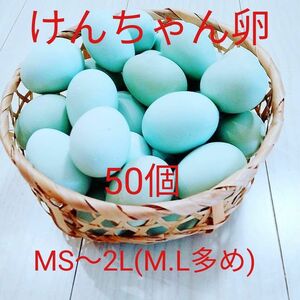 けんちゃん卵MS～2L(M.Lサイズ多め) 50個 朝採れ 平飼い あすなろ卵