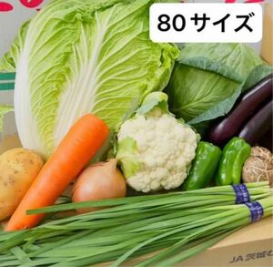 新鮮野菜　詰め合わせ　野菜盛り合わせ　旬の食材　80サイズ　家庭用 お徳用