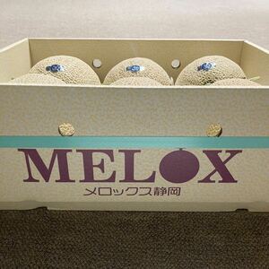  greenhouse melon Shizuoka prefecture production MELOX